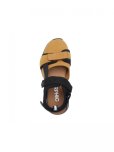 画像3: CG TT 3 (COYOTE) Men's / Women's [27,000+TAX]